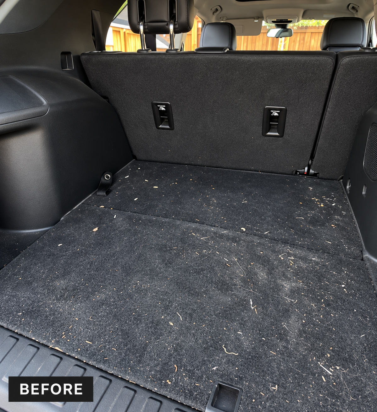 Interior after detailing